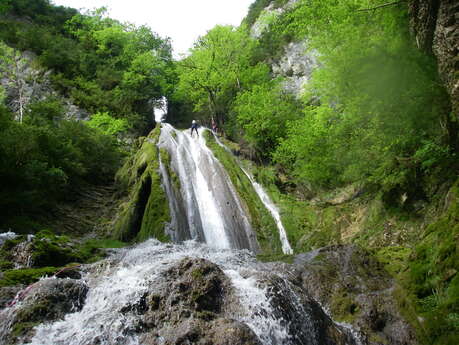 Canyon aventure (tous niveaux) avec Lézard des bois