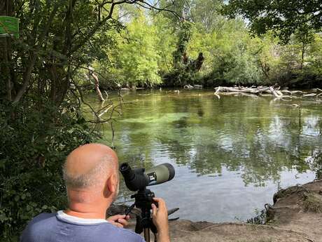 Les animaux aquatiques de la Sorgue - avec Destination Luberon