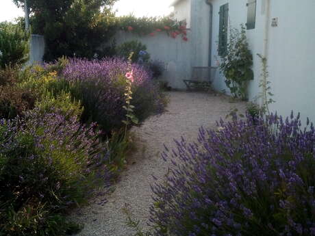 Fuerbringer Ingeborg