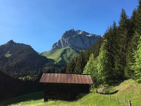 Guided Hike - Admission to the L'Oreille du Lynx Concert