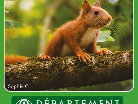 Animation nature " Traces et indices d'animaux "