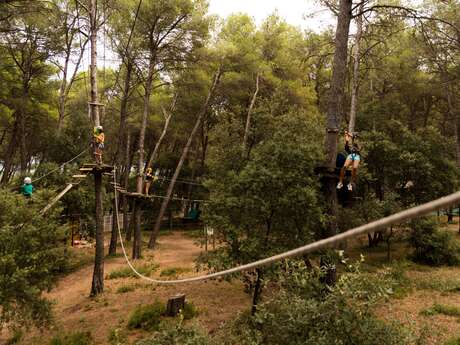 Giant zip lines