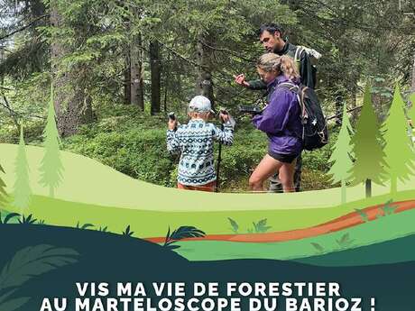 Vis ma vie de forestier au marteloscope du Barioz