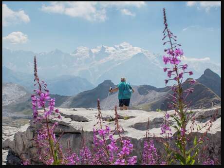 Itinéraire pédestre : rando'bus Désert de Platé