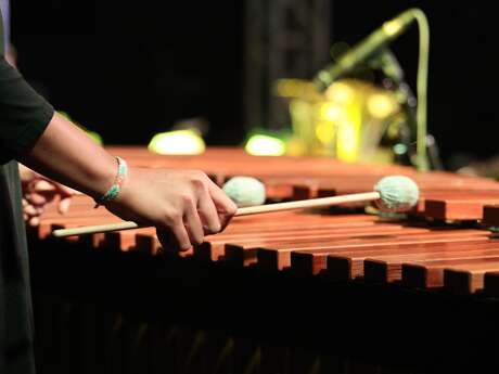 Galakonzert : West Virginia University Wind Symphony