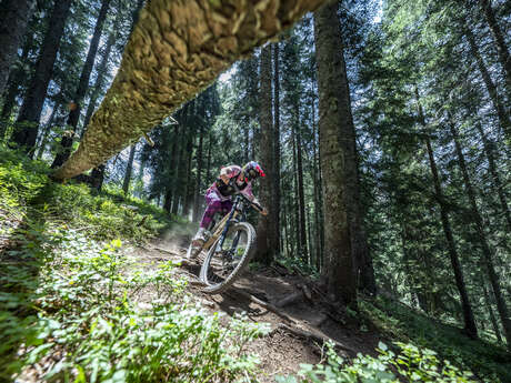 Bike Park Les Carroz