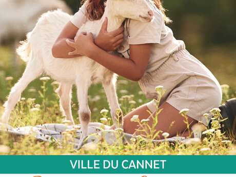 Rocheville à la campagne