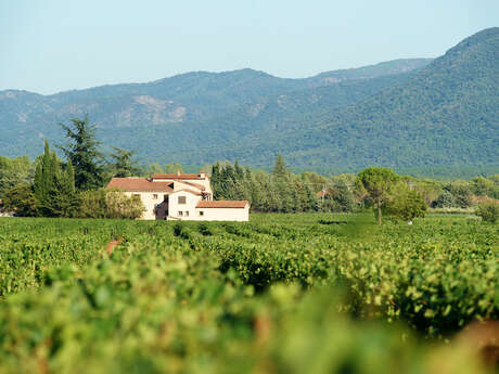 Château de l'Esparron
