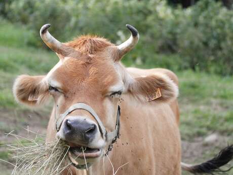 Ferme Les Délices de Belledonne