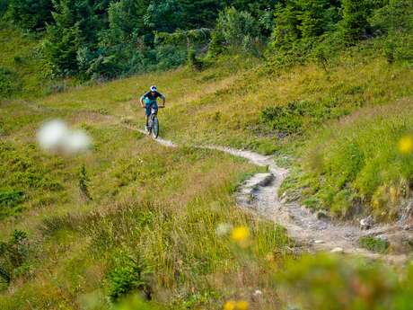 Domaine VTT Châtel Domaine VTT Châtel