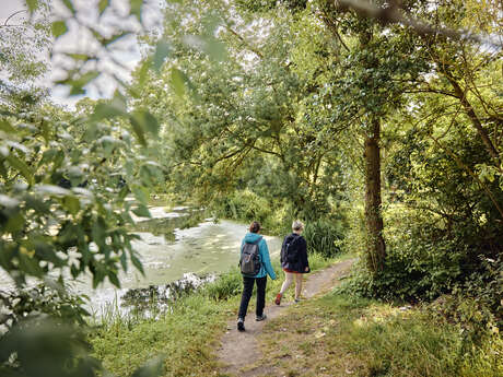 Entre bois et bocage