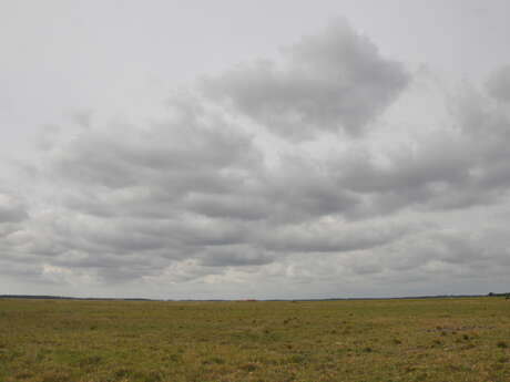 Visite de la Réserve naturelle nationale des coussouls de Crau avec Axel WOLFF, son conservateur