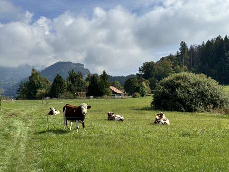 Sentier de randonnée - Boucle intercommunale des Grands Prés