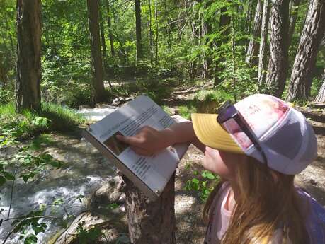 Le refuge des oiseaux du Moulin de Sachas