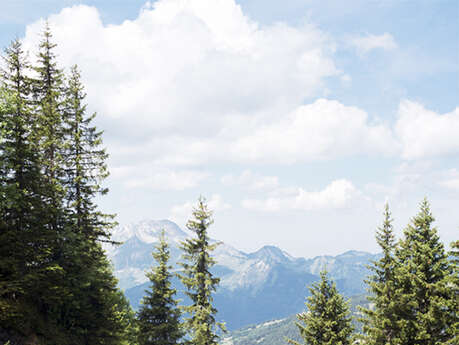 Morzinette Alpine Pasture from Avoriaz via La Chèvrerie des Ardoisières