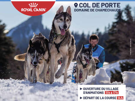 La Grande Odyssée Royal Canin