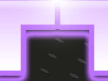 Dance - Focus On The Groove