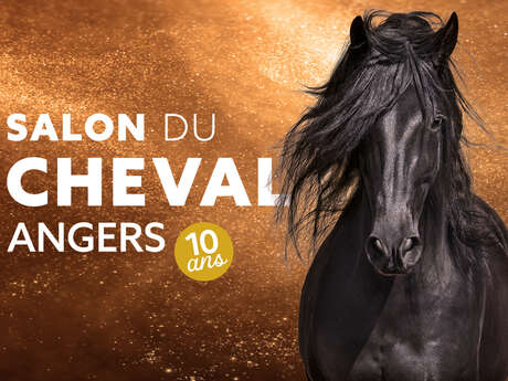 Salon du cheval