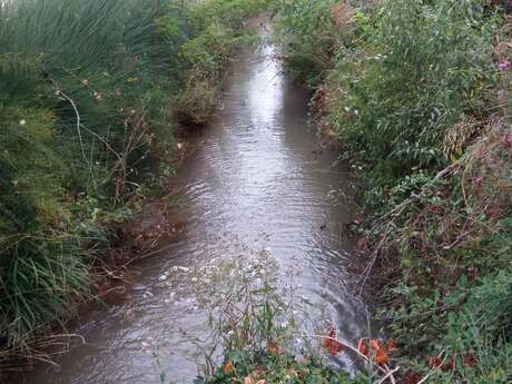 Canal de La Brillanne