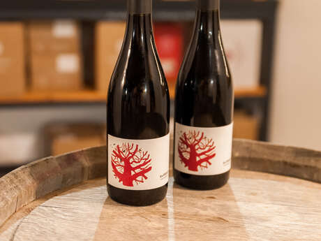 Domaine de Lastronques