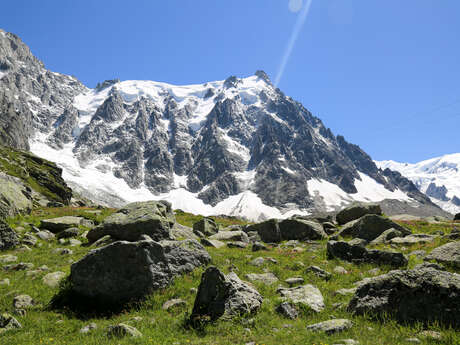 Chamonix-Plan de l'Aiguille hiking trail