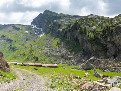 Itinéraire pédestre : l'alpage et chalets de Salvadon