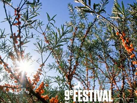 Festival de l'Alpage : Visite des cultures d'argousier d'Altiflore