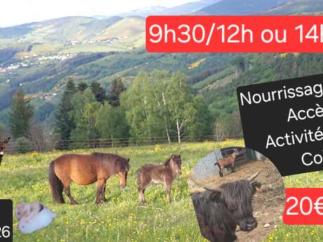 Demi-journée soigneur et découverte de la mini-ferme pédagogique