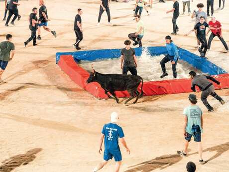 Toro piscine