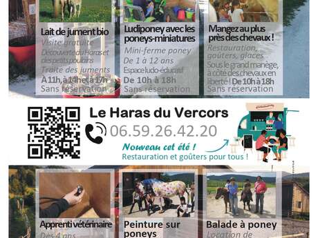 Atelier peinture sur poney