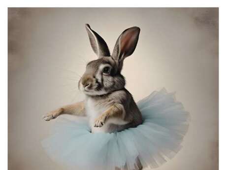 La véritable histoire de Casse-Noisette