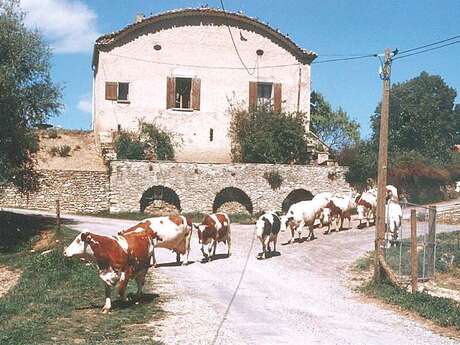 Camping à la ferme du Bas Chalus Le Moulin