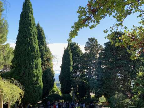 Conférence balade «De la fleur de la botanique à l’art»