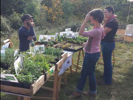 Vente de plants et Marché de producteurs - 6ème édition