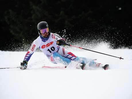 Ski - Tests Ski Open