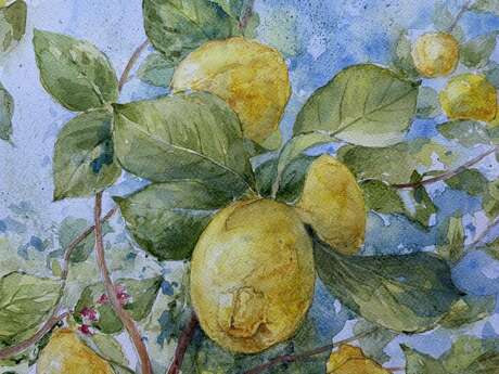 Artiste peintre aquarelliste - Tony Szabo