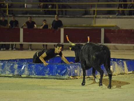Taureau piscine - Club taurin Lou glanum
