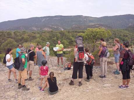 Sortie buissonière "Pastoralisme et géodiversité"