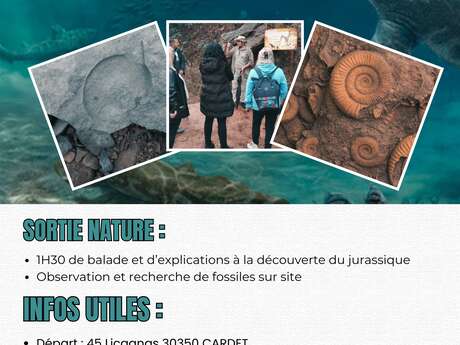 Explorez le passé de la terre : Le jurassique