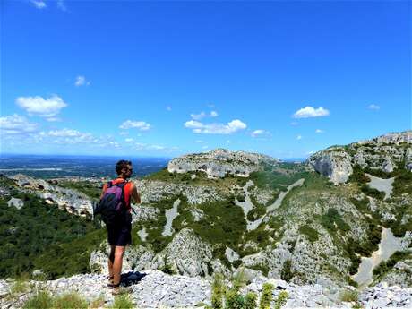 SAINT REMY DE PROVENCE - La crête des Alpilles