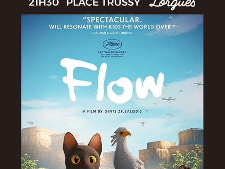 Cinéma Plein Air- Flow