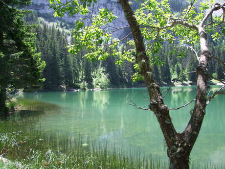 Lac Bénit