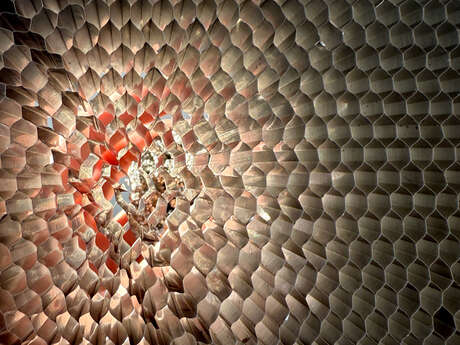 Exposition « Transponder II - When Stars Fall Silent » de Vanessa Enriquez