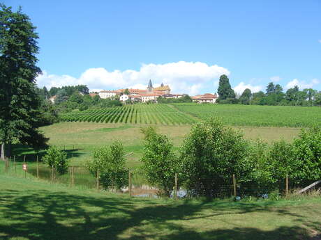 Domaine des Palais Domaine des Palais