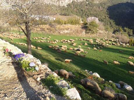 Ferme de séjour Rebuffel