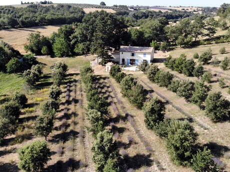 Le Grand Chêne - Maison d'hôtes