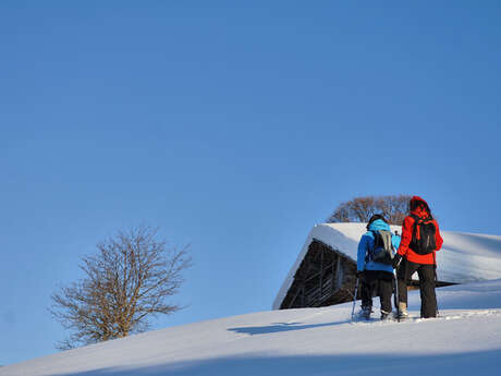 Schneeschuhwanderung „L'alpage perdu“ (Die verlorene Alm)