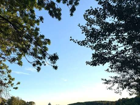 Sortie naturaliste