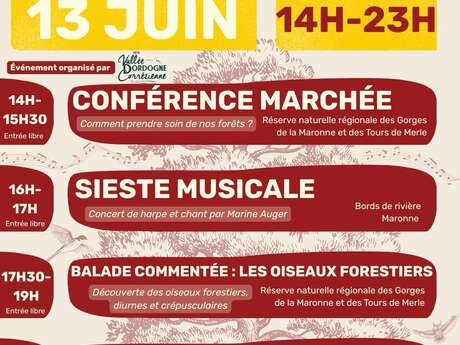 Les Nuits des forêts aux Tours de Merle