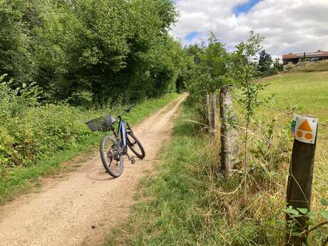 N°27 Le pont de Montagny